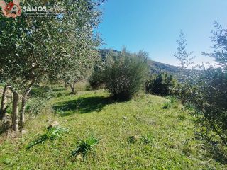Αγροτεμάχια 6.453 τ.μ. για πώληση, Ν. Σάμου, Σάμος-thumb-28
