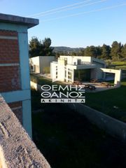 Μεζονέτα 250 τ.μ. προς πώληση, Αττική - Υπόλοιπο, Πολυδένδρι-thumb-9