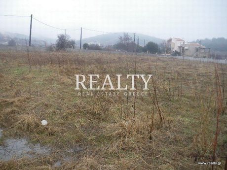 Οικόπεδο 5.000τ.μ. για πώληση-Χορτιάτης