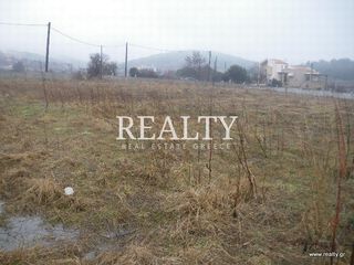 Οικόπεδο 5.000 τ.μ. για πώληση