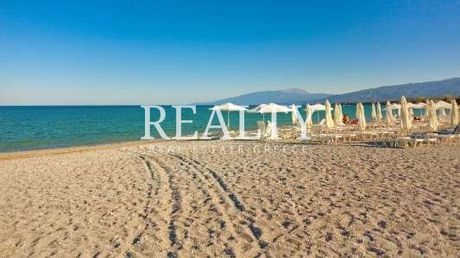 Οικόπεδο 60.000τ.μ. για πώληση-Ανατολικος όλυμπος » Λεπτοκαρυά