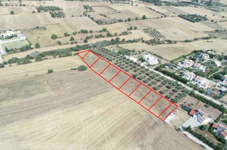 Αγροτεμάχια 5.266τ.μ. για πώληση-Θέρμη » Τρίλοφο