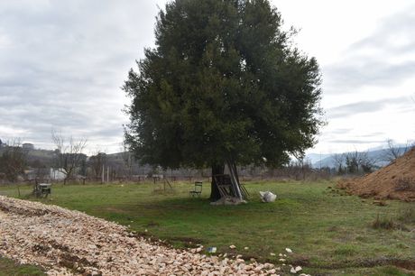 Land plot 1.000sqm for sale-Ioannina