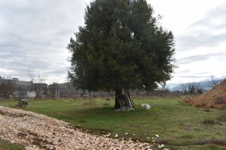 Οικόπεδο 1.000 τ.μ. για πώληση