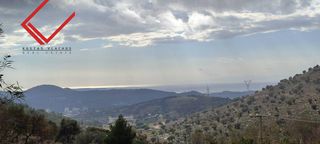 Αγροτεμάχια 10.000 τ.μ. για πώληση