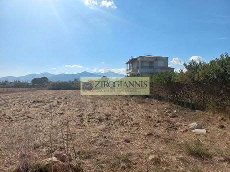 Αγροτεμάχια 2.200 τ.μ. για πώληση