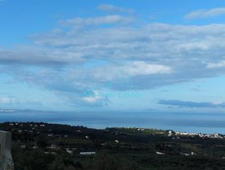 Οικόπεδο 9.600 τ.μ. για πώληση, Αχαΐα, Μεσσατίδα-thumb-13