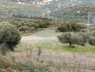 Οικόπεδο 9.600 τ.μ. για πώληση, Αχαΐα, Μεσσατίδα-thumb-20