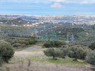 Οικόπεδο 9.600 τ.μ. για πώληση, Αχαΐα, Μεσσατίδα-thumb-11