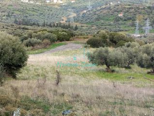 Οικόπεδο 9.600 τ.μ. για πώληση, Αχαΐα, Μεσσατίδα-thumb-17