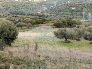 Οικόπεδο 9.600 τ.μ. για πώληση, Αχαΐα, Μεσσατίδα-thumb-6