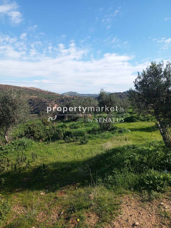 Οικόπεδο 20.000 τ.μ. πρός πώληση, Ν. Ρεθύμνου, Γεροπόταμος