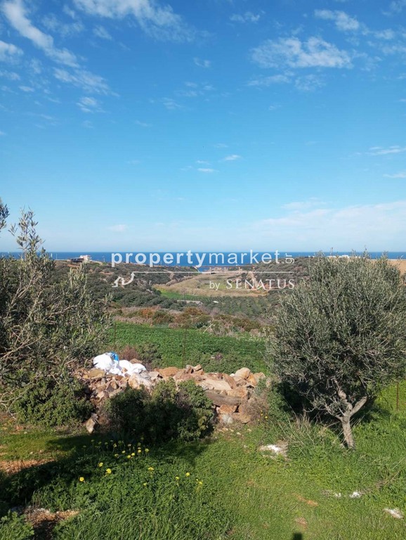 Οικόπεδο 20.000 τ.μ. πρός πώληση, Ν. Ρεθύμνου, Γεροπόταμος