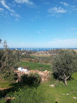 Land plot 20.000sqm for sale-Geropotamos » Stavromenos