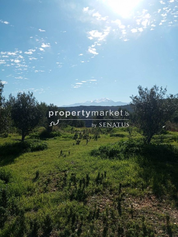 Οικόπεδο 20.000 τ.μ. πρός πώληση, Ν. Ρεθύμνου, Γεροπόταμος