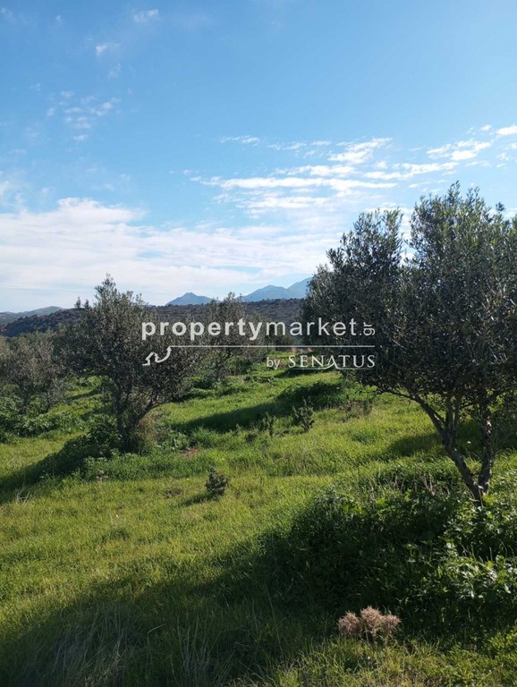 Οικόπεδο 20.000 τ.μ. πρός πώληση, Ν. Ρεθύμνου, Γεροπόταμος