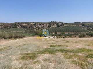 Οικόπεδο 4.072 τ.μ. για πώληση, Ν. Ρεθύμνου, Αρκάδι-thumb-11