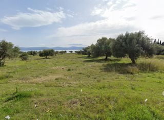 Οικόπεδο 39.650 τ.μ. για πώληση, Εύβοια, Ερέτρια-thumb-5