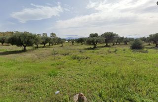 Οικόπεδο 39.650 τ.μ. για πώληση, Εύβοια, Ερέτρια-thumb-8