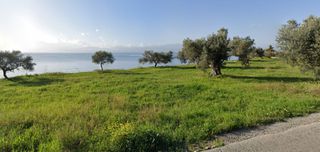 Οικόπεδο 39.650 τ.μ. για πώληση, Εύβοια, Ερέτρια-thumb-7