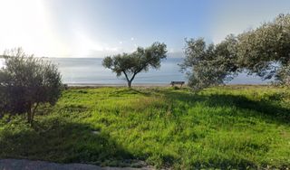 Οικόπεδο 39.650 τ.μ. για πώληση, Εύβοια, Ερέτρια-thumb-1