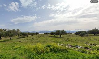 Οικόπεδο 39.650 τ.μ. για πώληση, Εύβοια, Ερέτρια-thumb-4