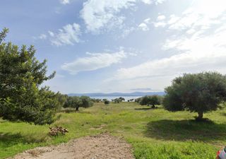 Οικόπεδο 39.650 τ.μ. για πώληση, Εύβοια, Ερέτρια-thumb-2