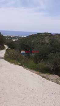 Οικόπεδο 2.500τ.μ. για πώληση-Νεάπολη