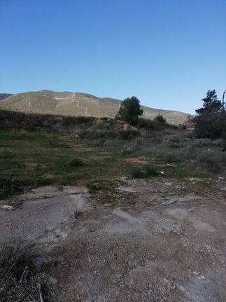 Land plot 850 sqm for rent, Athens - East, Glika Nera