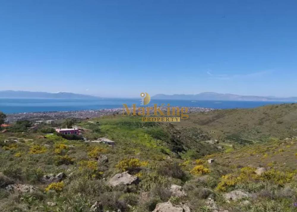 Αγροτεμάχια 14.000 τ.μ. πρός πώληση, Νησιά Αργοσαρωνικού, Αίγινα