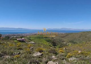 Αγροτεμάχια 14.000 τ.μ. για πώληση