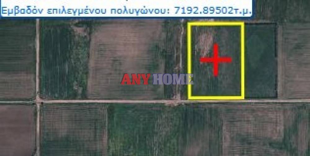 Αγροτεμάχια 7.200 τ.μ. προς πώληση, Λακκιά