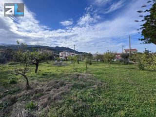 Οικόπεδο 1.000 τ.μ. για πώληση