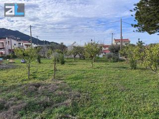 Οικόπεδο 1.000 τ.μ. για πώληση, Αχαΐα, Ρίο-thumb-1