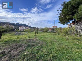 Οικόπεδο 1.000 τ.μ. για πώληση, Αχαΐα, Ρίο-thumb-3
