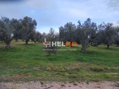 Οικόπεδο 600 τ.μ. για πώληση