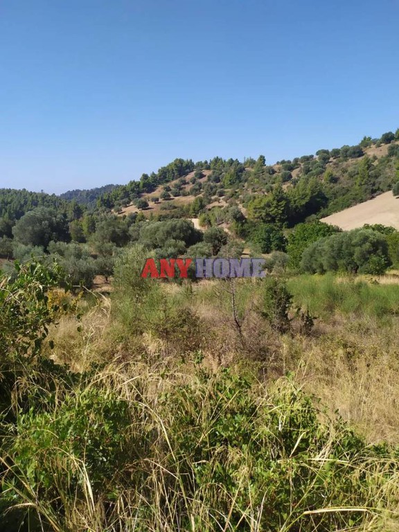 Οικόπεδο 1.700 τ.μ. προς πώληση, Παλιούρι Παλλήνης