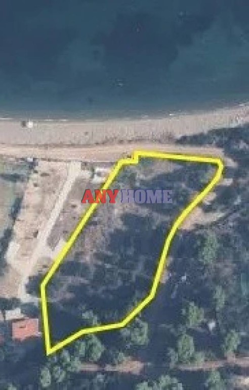 Αγροτεμάχια 4.592 τ.μ. προς πώληση, Παλιούρι Παλλήνης