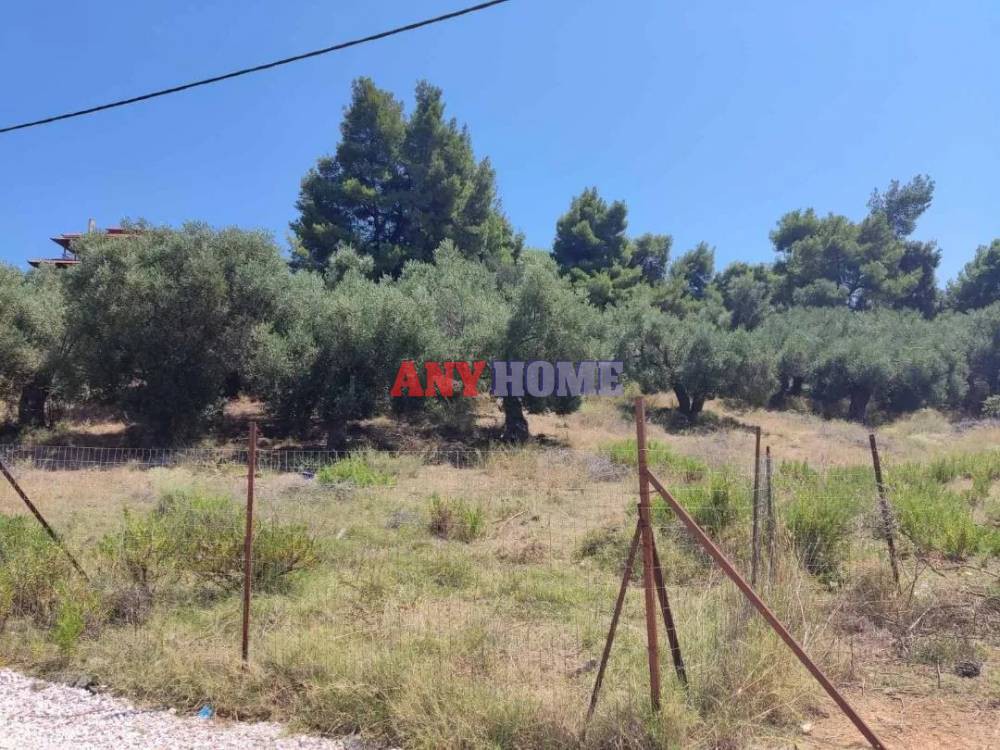 Αγροτεμάχια 4.592 τ.μ. προς πώληση, Παλιούρι Παλλήνης