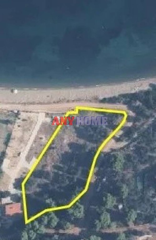 Αγροτεμάχια 4.592 τ.μ. προς πώληση, Παλιούρι Παλλήνης