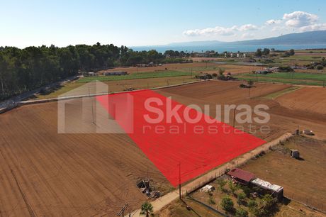 Αγροτεμάχια 4.530,28τ.μ. για πώληση-Μεσσήνη