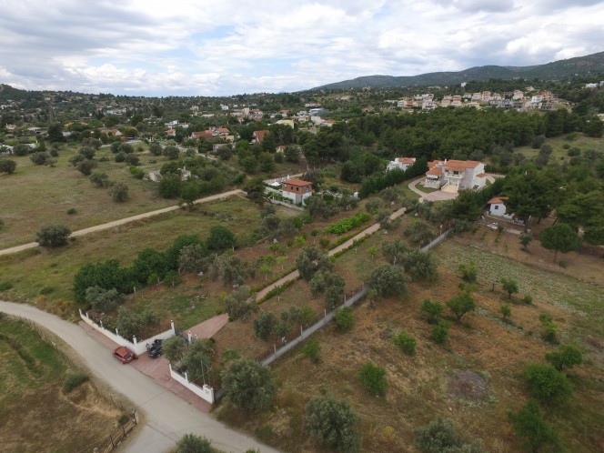 Βίλλα 400 τ.μ. προς πώληση, Εύβοια, Ερέτρια