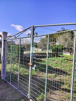 Οικόπεδο 390τ.μ. για πώληση-Πύργος » Κάτω καβούρι