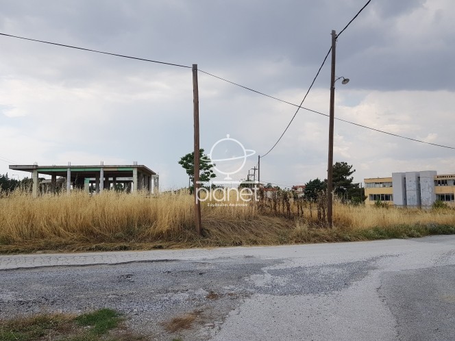 Αγροτεμάχια 10.000 τ.μ. πρός ενοικίαση, Θεσσαλονίκη - Περιφ/Κοί Δήμοι, Θέρμη