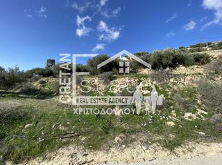 Αγροτεμάχια 2.500 τ.μ. προς πώληση, Μεσελέροι-thumb-7