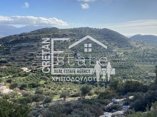 Αγροτεμάχια 73.000 τ.μ. πρός πώληση, Ν. Λασιθίου, Ιεράπετρα-thumb-6