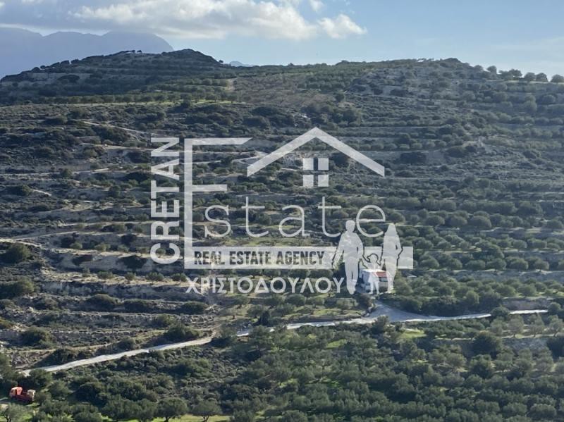 Αγροτεμάχια 73.000 τ.μ. πρός πώληση, Ν. Λασιθίου, Ιεράπετρα