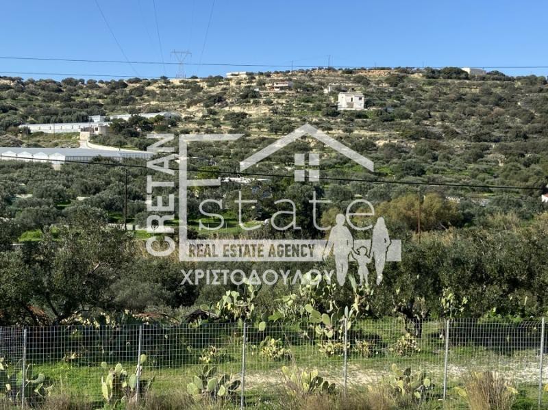 Αγροτεμάχια 5.000 τ.μ. προς πώληση, Μεσελέροι