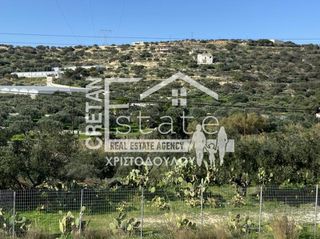 Αγροτεμάχια 5.000 τ.μ. για πώληση, Ν. Λασιθίου, Ιεράπετρα-thumb-2
