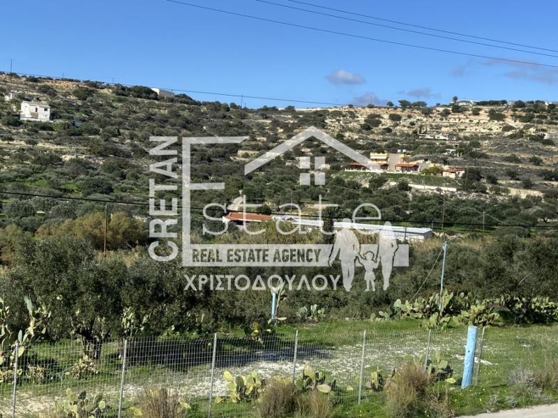 Αγροτεμάχια 5.000 τ.μ. προς πώληση, Μεσελέροι